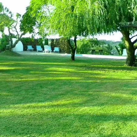 Horta Velha / Monte Alegre Casa de hóspedes Odeceixe