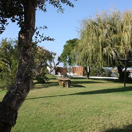 Horta Velha / Monte Alegre Maison d'hôtes *
